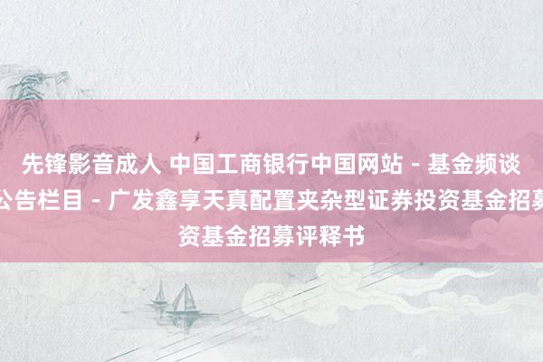 先锋影音成人 中国工商银行中国网站-基金频谈-基金公告栏目-广发鑫享天真配置夹杂型证券投资基金招募评释书