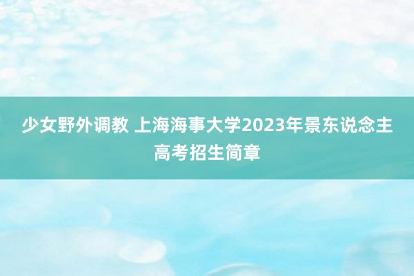 少女野外调教 上海海事大学2023年景东说念主高考招生简章