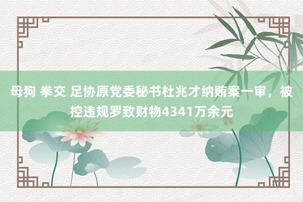 母狗 拳交 足协原党委秘书杜兆才纳贿案一审，被控违规罗致财物4341万余元