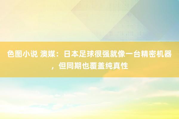 色图小说 澳媒：日本足球很强就像一台精密机器，但同期也覆盖纯真性