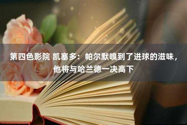 第四色影院 凯塞多：帕尔默嗅到了进球的滋味，他将与哈兰德一决高下