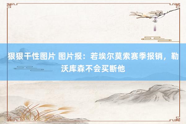 狠狠干性图片 图片报：若埃尔莫索赛季报销，勒沃库森不会买断他