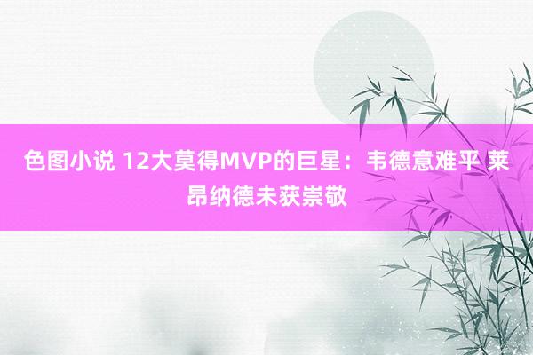 色图小说 12大莫得MVP的巨星：韦德意难平 莱昂纳德未获崇敬