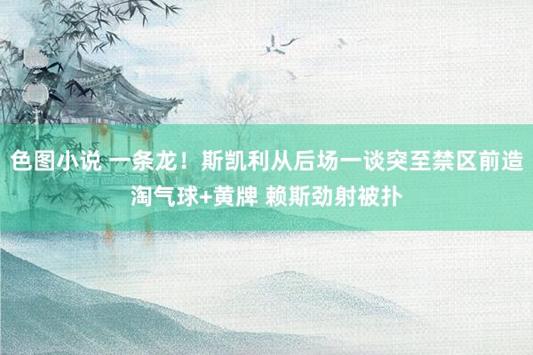 色图小说 一条龙！斯凯利从后场一谈突至禁区前造淘气球+黄牌 赖斯劲射被扑